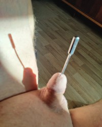 Urethral sounding photo