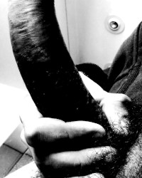 Italian cock photo