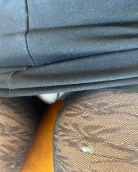 Cum on nylon leggs photo