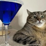 FunnyAppleGoose