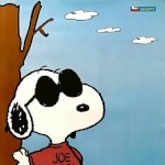 Snoopy677