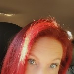 Msgingerkitten