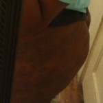 Chocolateteddy89