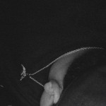Jayyywithit