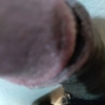 BigboybackShot