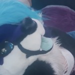 ToastyVixen