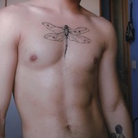 Dragonflysmode