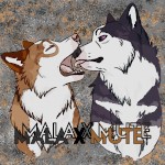 xXMalamuteXx