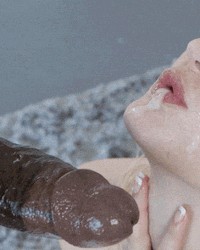 Assorted gifs n pics photo