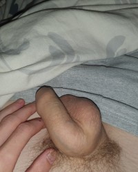 Soft and hard photo