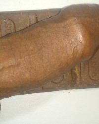 Dick of chocolate photo