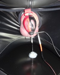 Estim electro cum milking photo