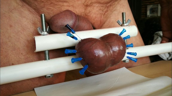 Needles in my Balls photo