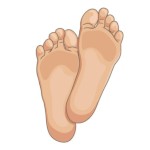 SolesticeQueen