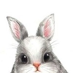 Little Rabbit