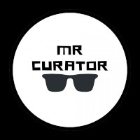 Mr Curator