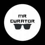 Mr Curator