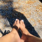 Brownsugarfeet