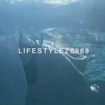 lifestylez6969