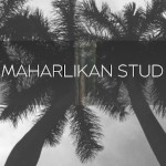 maharlikanstud