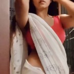 ThatChickInSaree