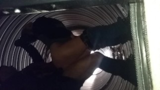 tuerca de túnel busto dos