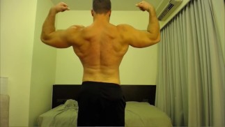 muscle 