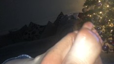 Favourtites 7