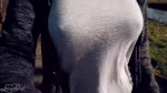 Playlist Thumb 53087141-2