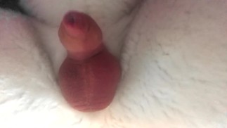 ラフファースーツクソ