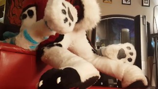 Élevage rude en fursuit