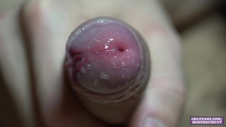 BITE NON COUPÉE PLEINE DE PRECUM (GROS PLAN) (4K)