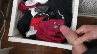 Sperme dans un jeune tiroir de culotte dans sa chambre