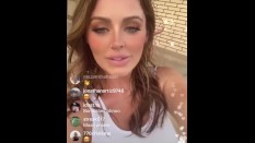Big Titty Appreciation Playlist
