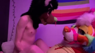 Risos X Tetris: Estar quieto para não serem pegos fodendo Casal Peludo