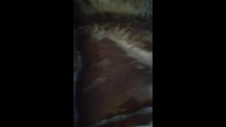 Bbw joue avec la chatte dans la douche 
