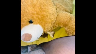 Horny humide humping mon ours en pelte
