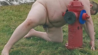 Chub Slave Pisse comme un chien en public!