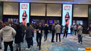 AVN Récapitulé avec Pornhub