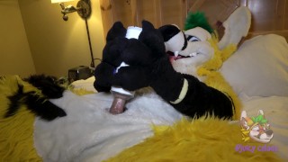 Furry utilise un jouet sexuel jusqu’à ce qu’il jouisse