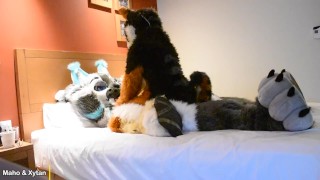 Murrsuit Wild Sex - Vidéo pilote - Maho & Xytan