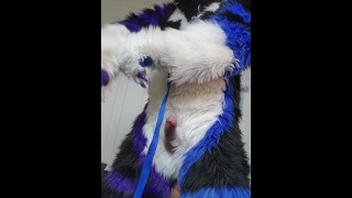 Johnny Huskey - Branle et jouis :3