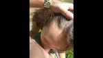 Playlist Thumb 312458271-1
