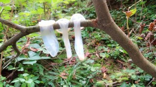 Avaler le sperme de trois préservatifs usagés trouvé en plein air
