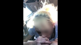 Wife gives backseat blowjob ro brother in law at picnic