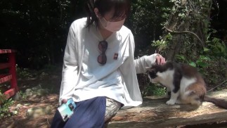 Off-shot 5: To Cat Island ~ Neerotický, pro ty, kteří se chtějí dozvědět více o Pikunyanu♡