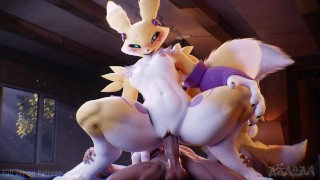 Comment entraîner votre Renamon ! (Partie 3/3) (Version courte) 🦊