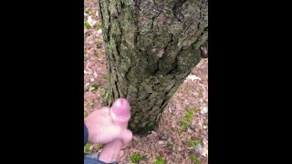 Un randonneur se masturbe pendant une randonnée en forêt et un arbre cumson