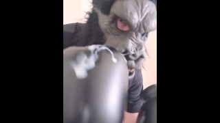 Boxing Gorilla Edges, Jerks and Cums on his Boxing Gloves.