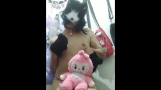 Therianfemboy Asian Cosplay Tiktoker